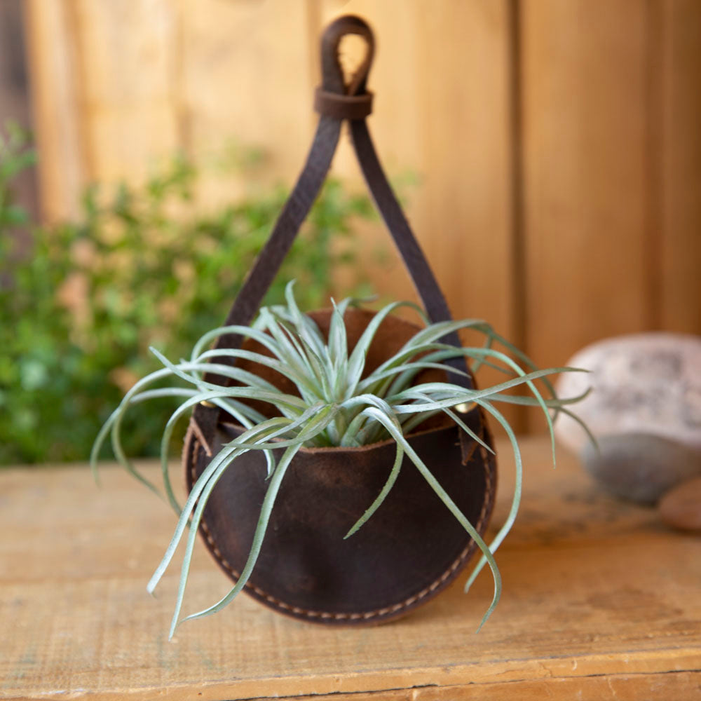 Hanging Triangles x3 Air Plant Hanger – Wildly Urban