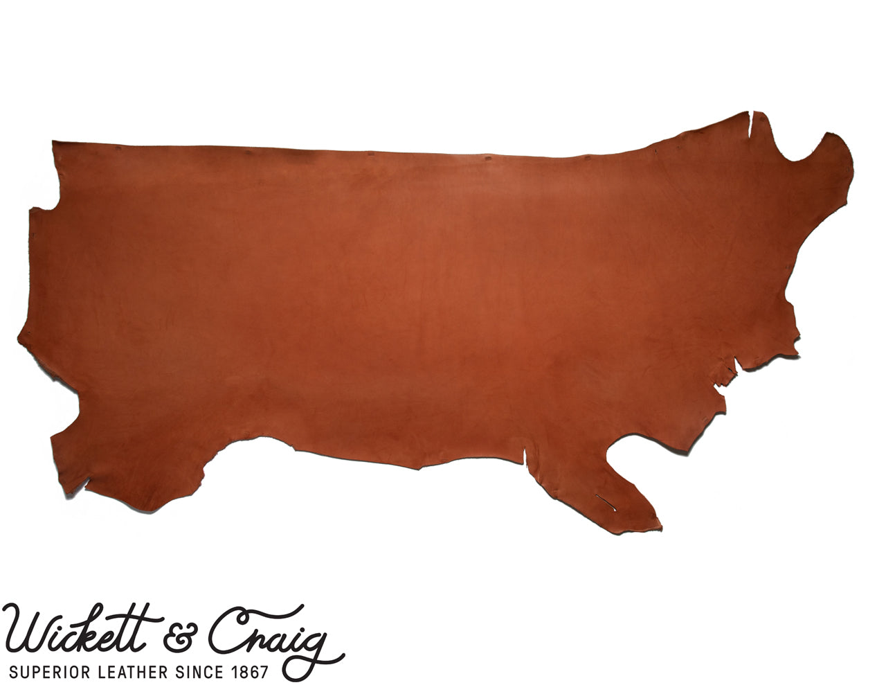 Wickett & Craig Skirting Chestnut (Panel) - Lazy 3 Leather Company