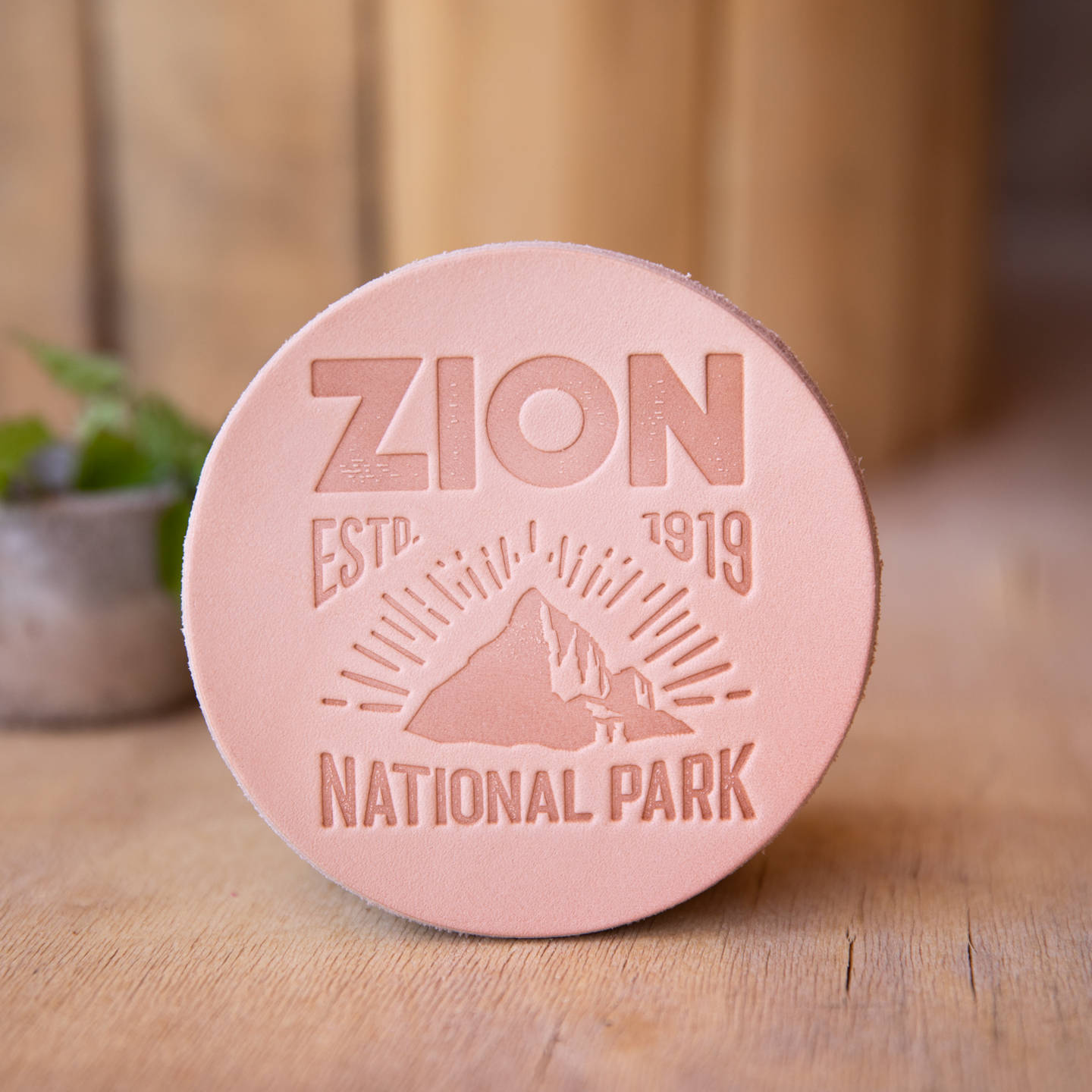 Zion Leather Coaster