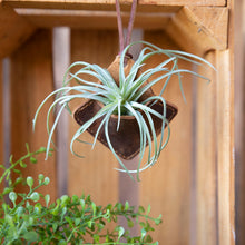Load image into Gallery viewer, Diamond Air Plant Hanger - Lazy 3 Leather Company