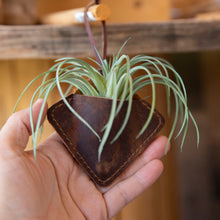 Load image into Gallery viewer, Diamond Air Plant Hanger