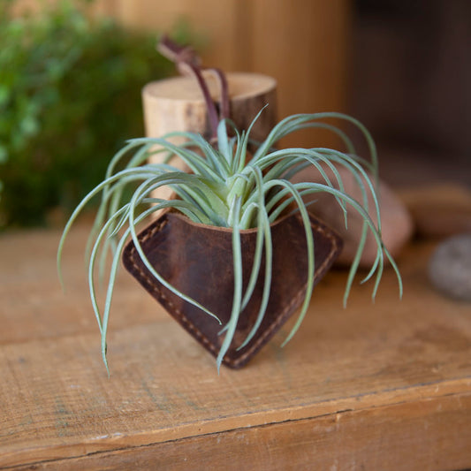 Diamond Air Plant Hanger - Lazy 3 Leather Company